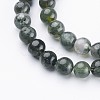 Natural Moss Agate Beads Strands X-GSR6mmC001-2