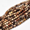 Frosted Natural Petrified Wood Round Bead Strands G-F266-07-10mm-1