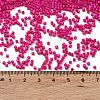 Baking Paint Glass Seed Beads X-SEED-S042-05B-69-4