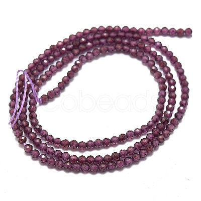 Natural Garnet Beads Strands G-O186-D01-1