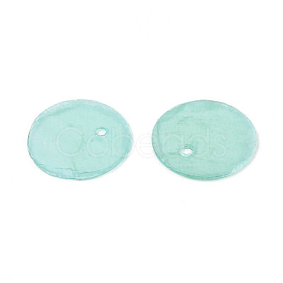 Spray Painted Natural Capiz Shell Disc Charms X1-BSHE-T014-02D-1