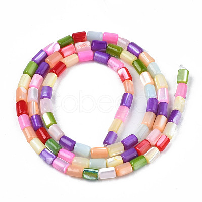Natural Trochid Shell/Trochus Shell Beads Strands SHEL-N003-26-B01-1