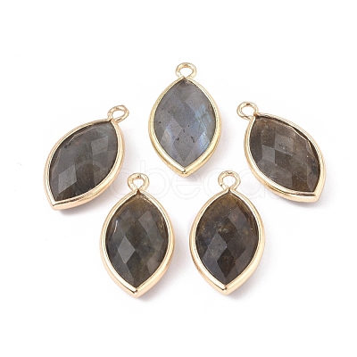 Natural Labradorite Pendants G-L514-023G-1