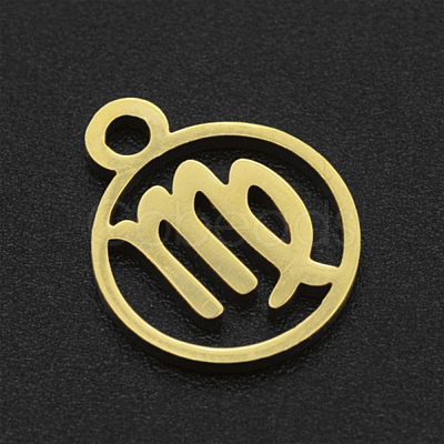 201 Stainless Steel Charms STAS-T014-LA111-6-1