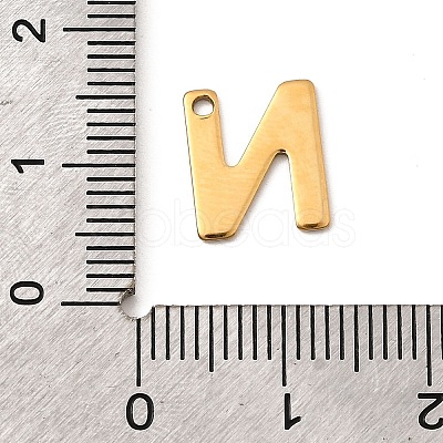 304 Stainless Steel Charms STAS-B093-12G-N-1