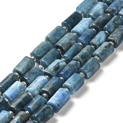 Natural Apatite Beads Strands G-N327-06-27-1