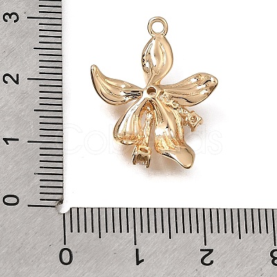 Brass Micro Pave Clear Cubic Zirconia Pendants KK-N290-25G-1
