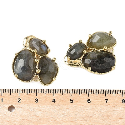 Natural Labradorite Links connectors G-E526-28F-1