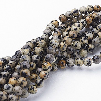 Natural Dalmatian Jasper Beads Strands GSR6mmC004-1