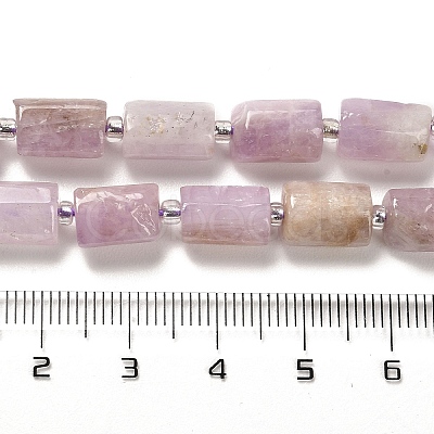Natural Kunzite Beads Strands G-N327-06-36-1