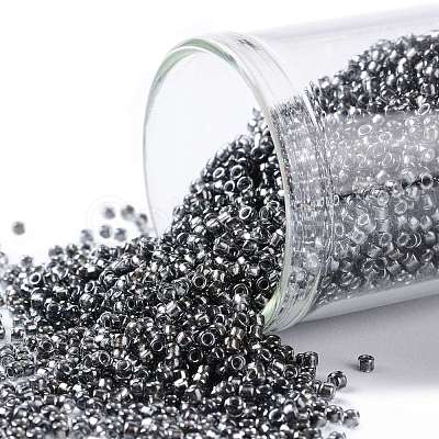TOHO Round Seed Beads SEED-JPTR15-0282-1