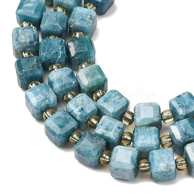 Natural Apatite Beads Strands GG-CBAC972-A18-01-1
