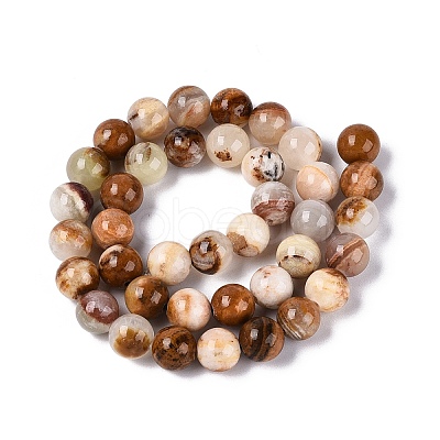Natural Wood Lace Stone Wooden Jasper Beads Strands X-G-B128-A04-04-1