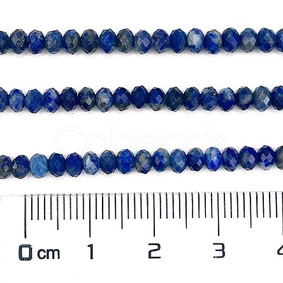 Natural Lapis Lazuli Beads Strands G-L587-B03-02-1