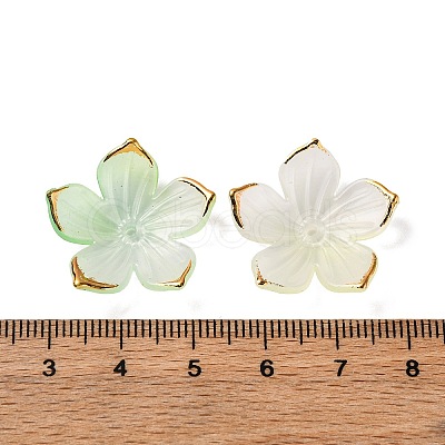 Transparent Acrylic Bead Caps TACR-P011-03A-1