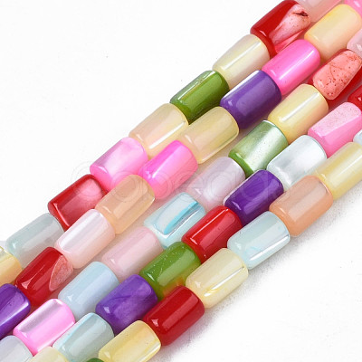 Natural Trochid Shell/Trochus Shell Beads Strands SHEL-N003-26-B01-1