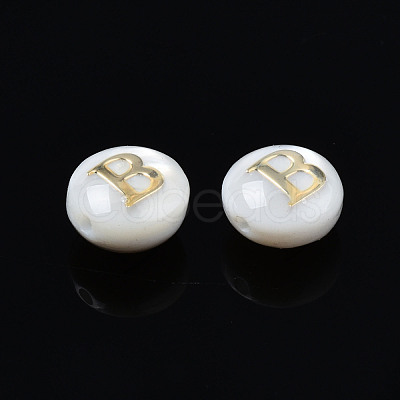 Natural Freshwater Shell Beads SHEL-S278-036B-1