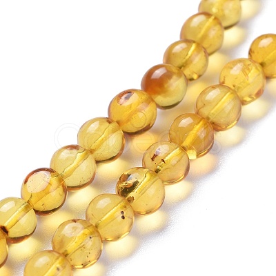 Natural Amber Beads Strands G-K308-C01-6mm-1