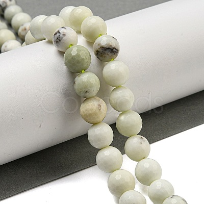 Natural Dendritic Jasper Beads Strands G-E571-A05-03-1