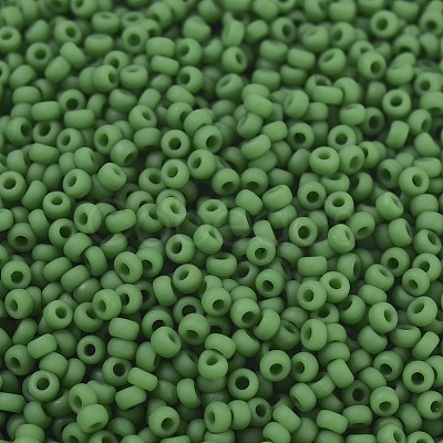 MIYUKI Round Rocailles Beads X-SEED-G007-RR0411F-1