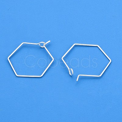 Brass Earring Hooks KK-WH20013-04S-A-1