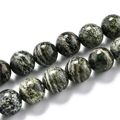 Natural Green Zebra Jasper Beads Strands G-L574-05C-1