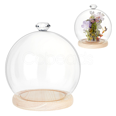 Diamond Glass Dome Cover AJEW-WH0348-294D-02-1