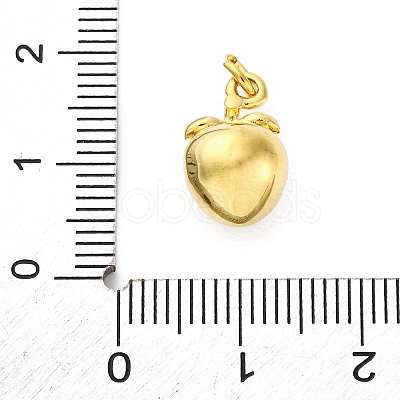 304 Stainless Steel Charms STAS-U049-01A-04G-1