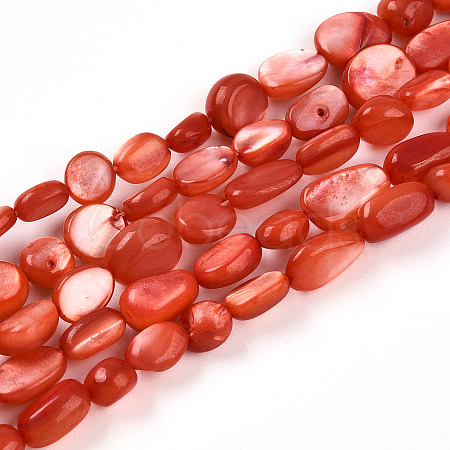 Natural White Shell Beads Strands SHEL-N036-21F-1