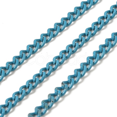 Spray Painted 304 Stainless Steel Curb Chains STAS-B067-05A-06-1