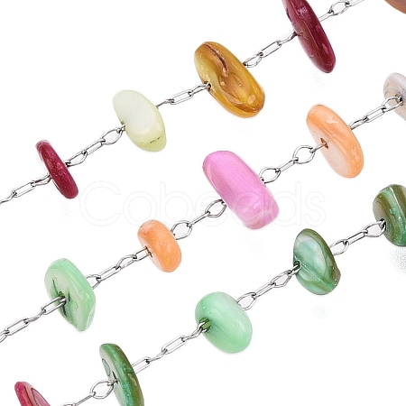 Handmade Dyed Shell Beads Chains CHS-T006-14P-A-1