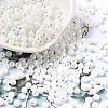 Glass Seed Beads SEED-H002-A-A615-1