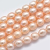 Natural Cultured Freshwater Pearl Beads Strands PEAR-K003-23C-01-1