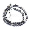 Natural Black Silk Stone/Netstone Beads Strands G-K310-A09-6mm-2