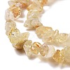 Natural Citrine Chips Beads X-F091-4