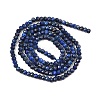 Dyed Natural Lapis Lazuli Beads Strands G-K376-B05-01-3