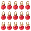 ABS Plastic Charms KY-YW0001-24C-1