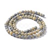 Natural Yellow Turquoise(Jasper) Beads Strands G-H245-02A-2