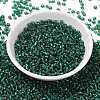 8/0 Glass Seed Beads SEED-A005-3mm-50A-2
