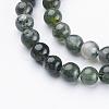 Natural Moss Agate Beads Strands GSR6mmC001-2