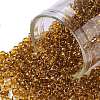TOHO 8/0 Round Beads X-SEED-TR08-2156-1