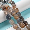 Natural Agate Beads Strands G-H295-A01-09-2