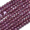 Natural Garnet Beads Strands G-O186-D01-2