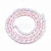 Natural Freshwater Shell Beads Strands SHEL-N003-25-B06-2