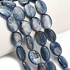 Natural Kyanite Beads Strands G-H335-D01-10x14mm-1