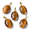 Natural Tiger Eye Pendants G-E603-03G-01-1