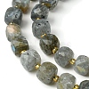 Natural Labradorite Beads Strands G-Q010-A25-01-4