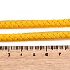 Braided Leather Cord with Core WL-F009-6mm-01-3