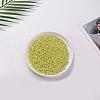 6/0 Opaque Colors Lustered Round Glass Seed Beads X-SEED-A012-4mm-122-5