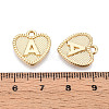 Alloy Pendants PALLOY-N157-001A-NR-3
